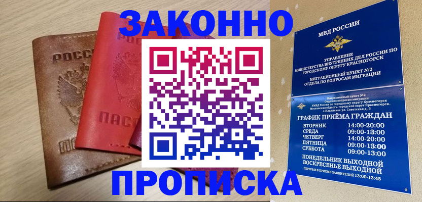 временная регистрация собственник в Нижегородской области